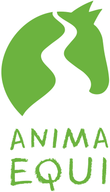 Anima Equi