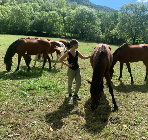 001-curso-aproximacion-al-caballo