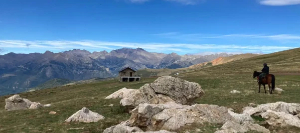 01- Pico Cerler