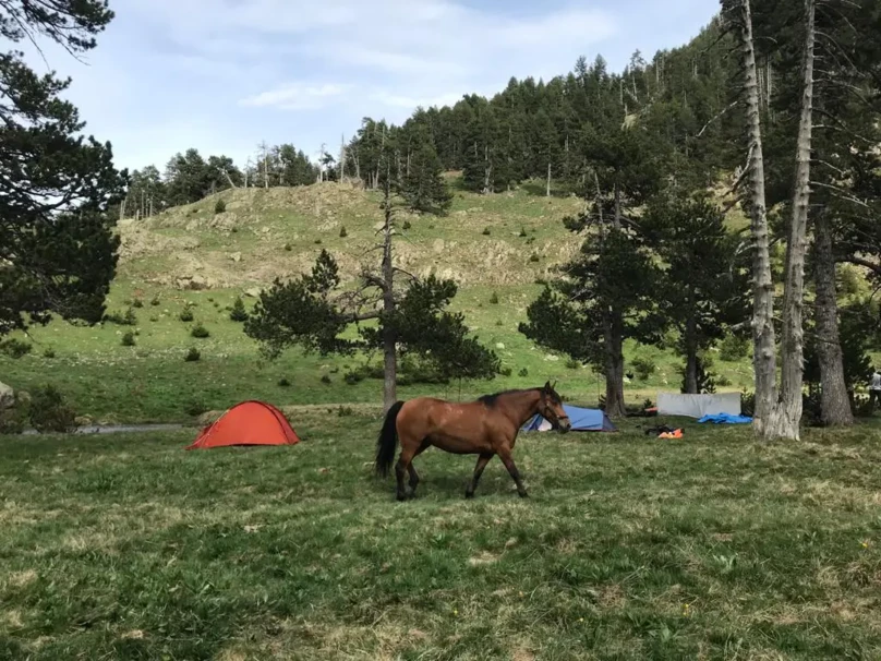 02-rutas-a-caballo-pirineos-benasque bajo las estrellas