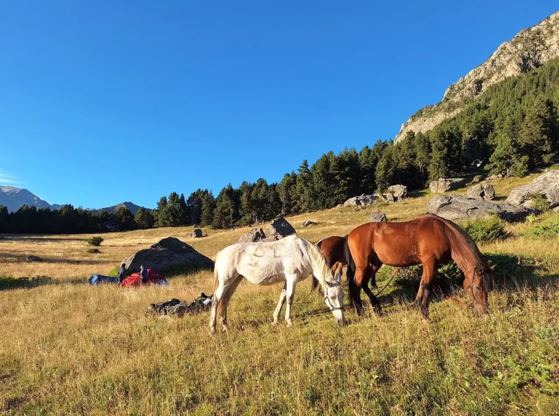 13-rutas-a-caballo-pirineos-benasque bajo las estrellas