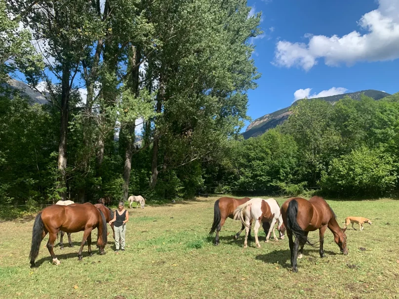 005-curso-aproximacion-al-caballo