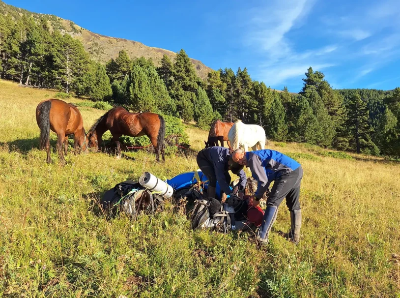 07-rutas-a-caballo-pirineos-benasque bajo las estrellas