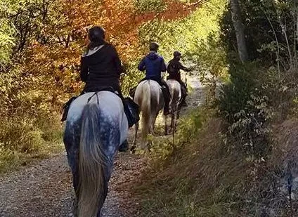 03-paseo-a-caballo-1-hora