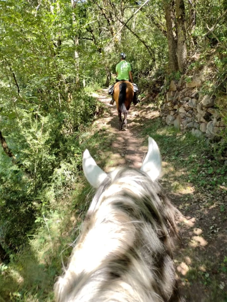05-paseo-a-caballo-2-horas