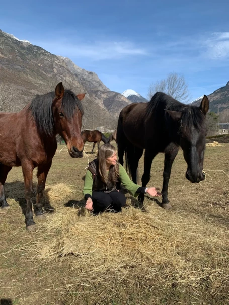 007-curso-aproximacion-al-caballo