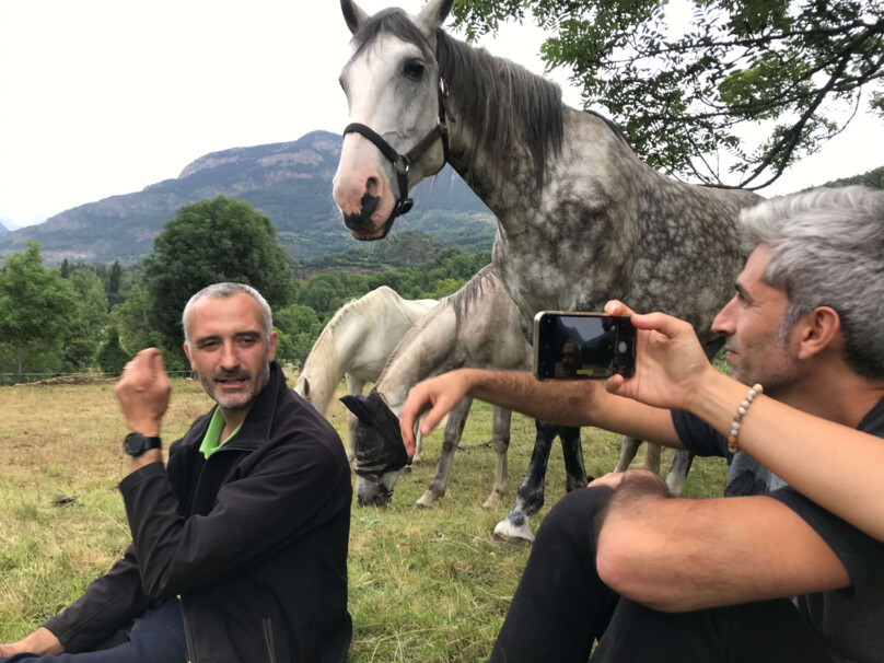 008-curso-aproximacion-al-caballo