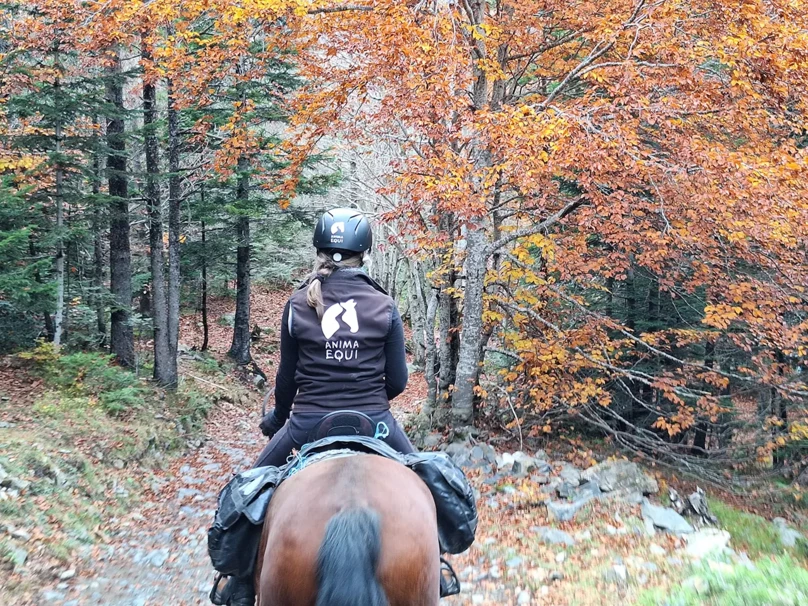 07-rutas-a-caballo-pirineos-dos_cascadas