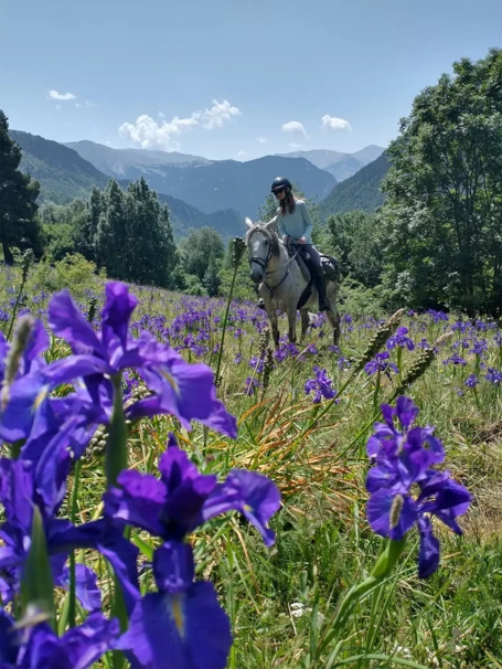 04-rutas-a-caballo-pirineos-dos_cascadas