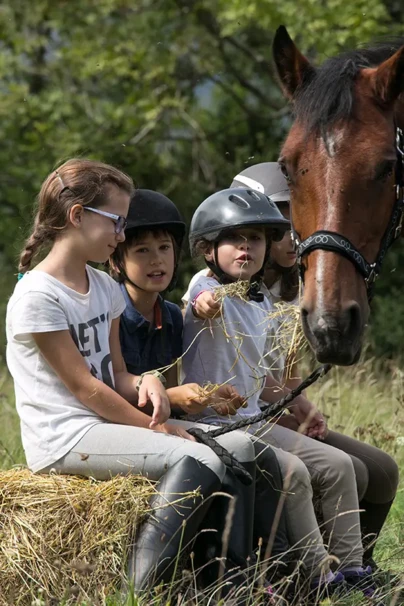 10-curso-aproximacion-al-caballo