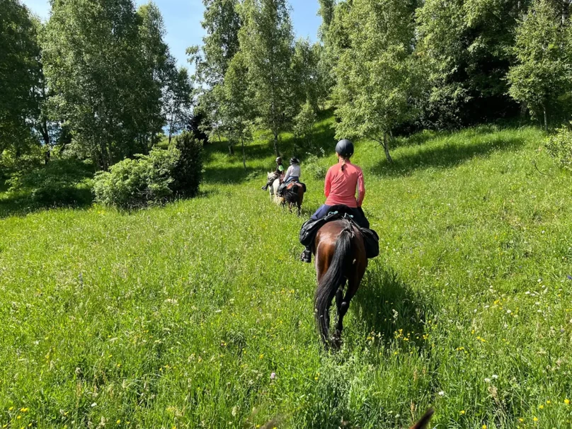 10-rutas-a-caballo-pirineos-dos_cascadas