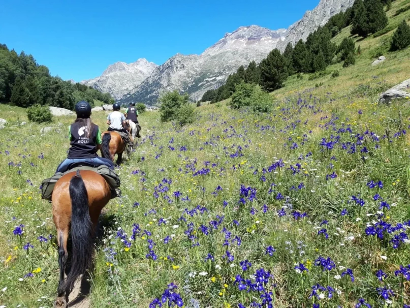 07-rutas-a-caballo-pirineos-discovering