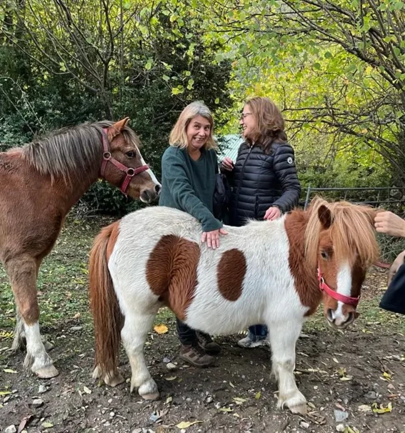004-curso-aproximacion-al-caballo