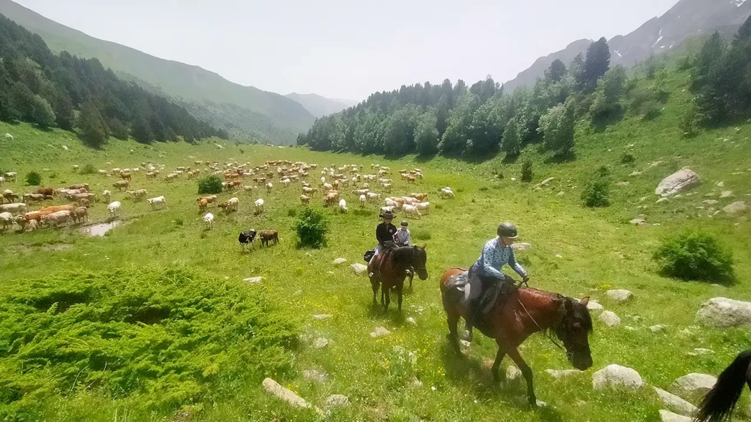 12-rutas-a-caballo-pirineos-dos_cascadas