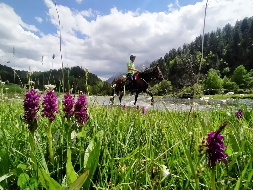 15-rutas-a-caballo-pirineos-reino del aneto