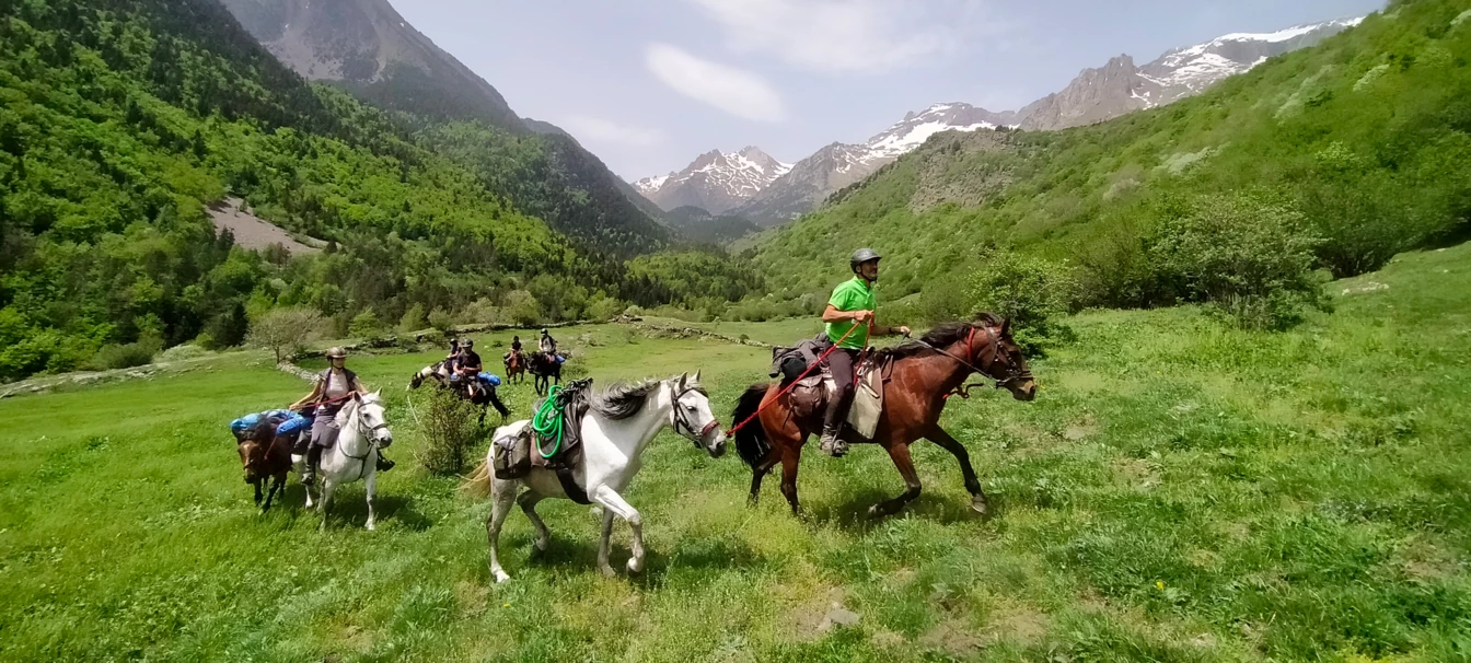 02-Iniciación-TEjpg