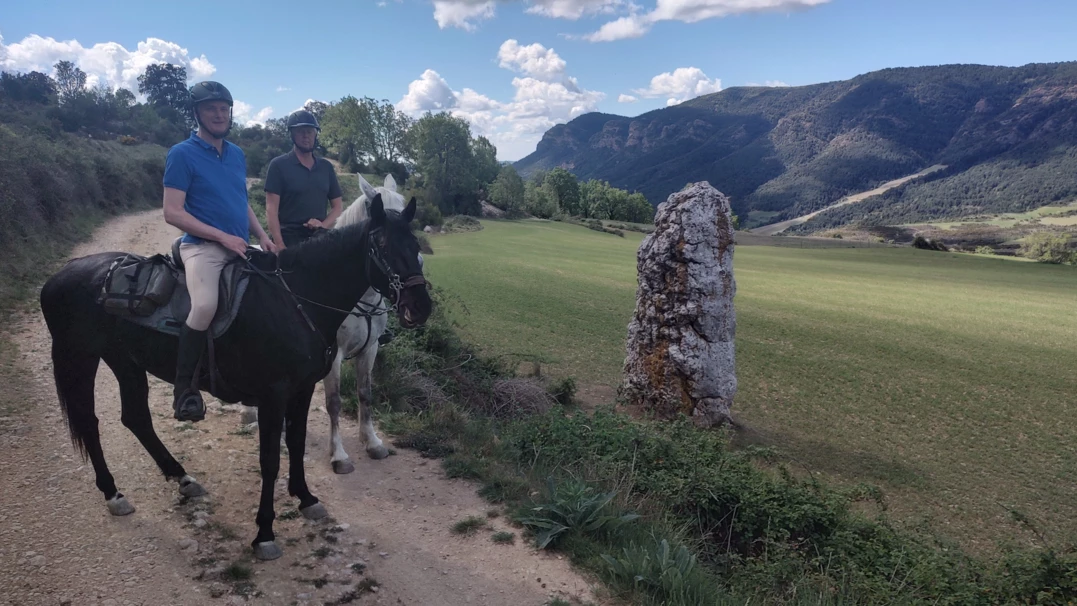 015-Old transhumance