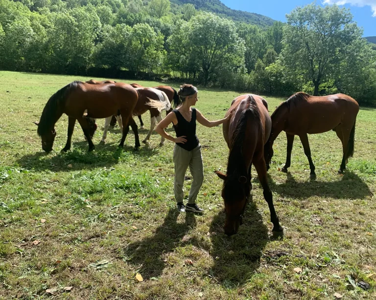 001-curso-aproximacion-al-caballo