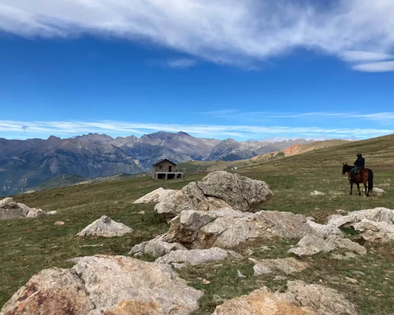 01- Pico Cerler