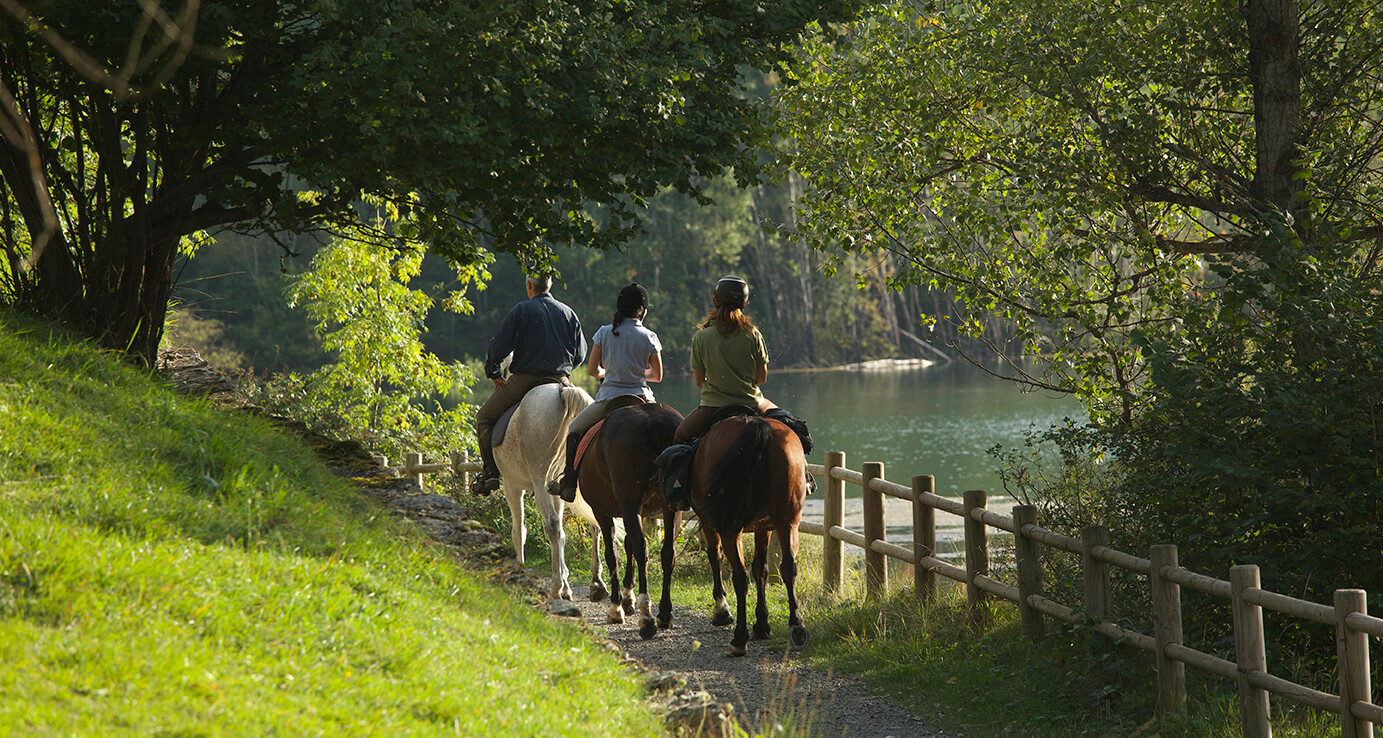 Randonnées équestres d'Anima Equi pour débutants.