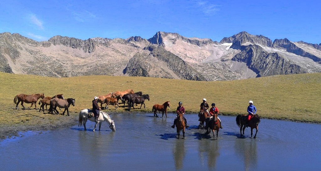 Randonnées à cheval d'Anima Equi.