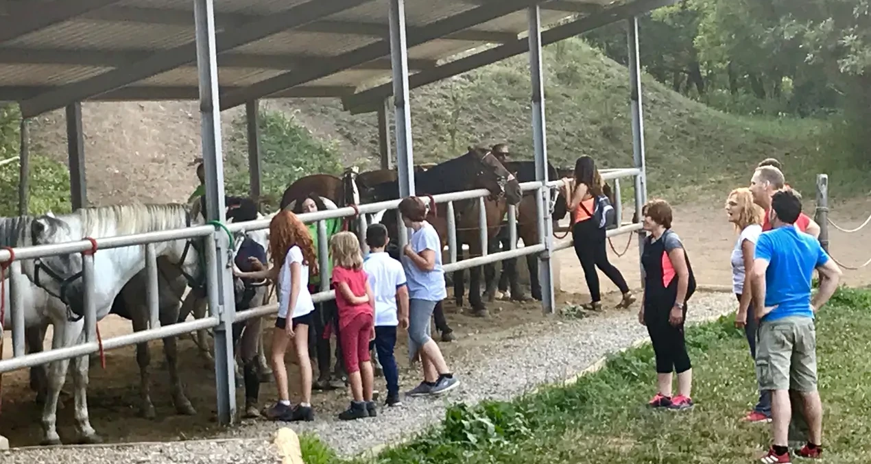 instalaciones_anima_equi_03