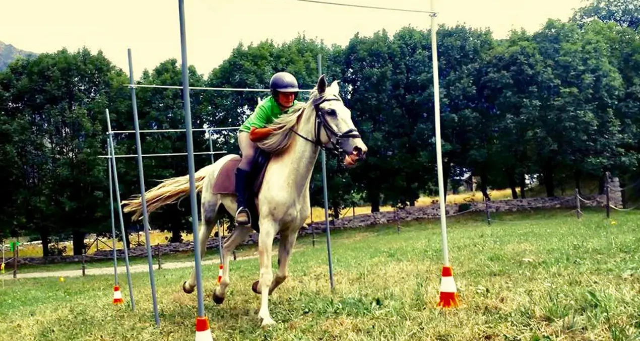 instalaciones_anima_equi_09