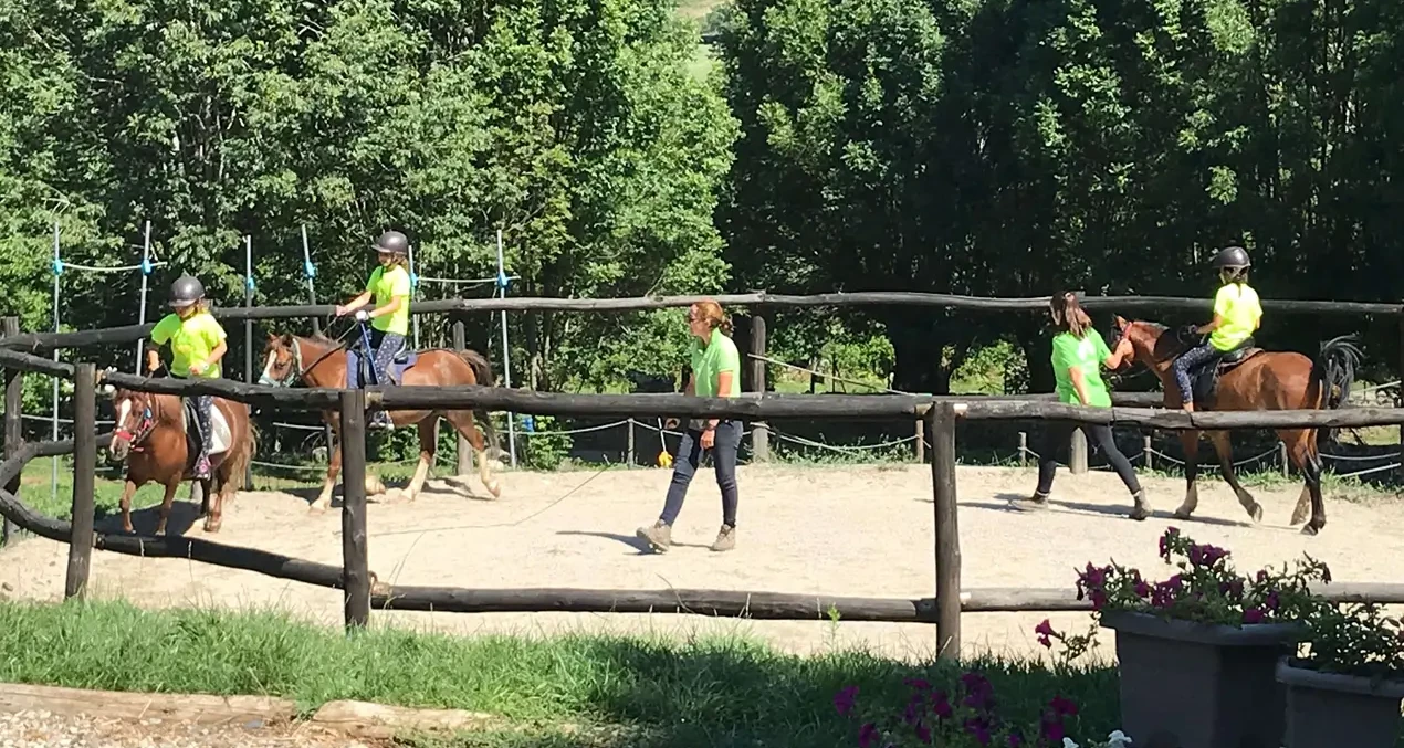 instalaciones_anima_equi_10