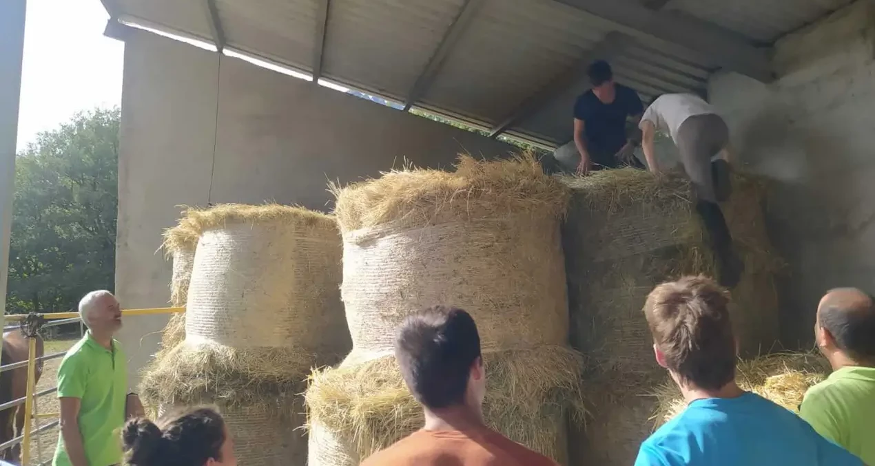 instalaciones_anima_equi_07