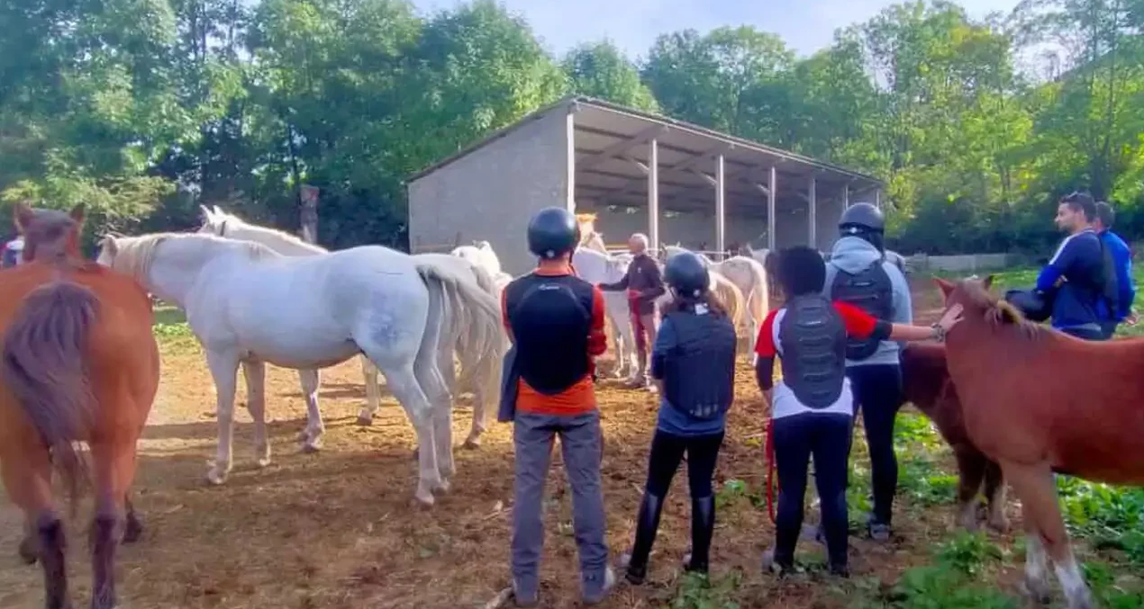 instalaciones_anima_equi_05