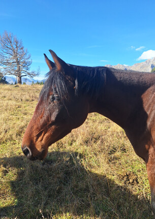 Emunà