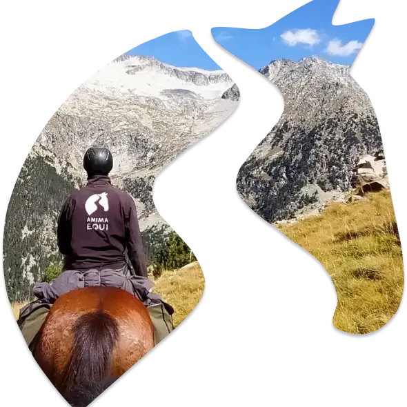Conoce Anima Equi