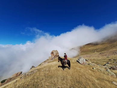 04-rutas-a-caballo-pirineos-discovering